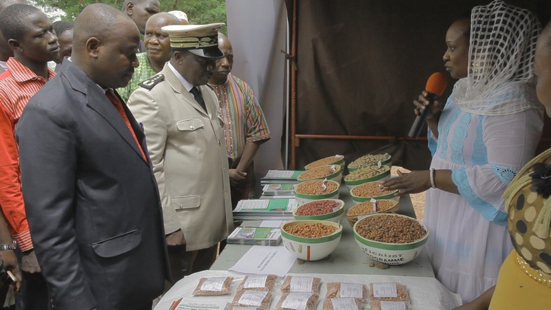 Foire semencière sur l’arachide  à Sikasso : Les paysans maliens, ivoiriens et burkinabès émerveillés par les semences améliorées d’ICRISAT