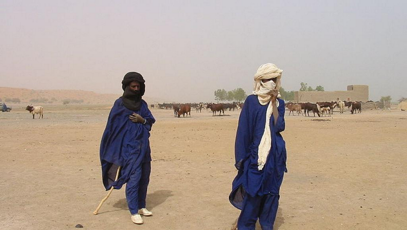 Groupe d’autodéfense de Kawral Pulaku : L’Incapacité du Régime en cause
