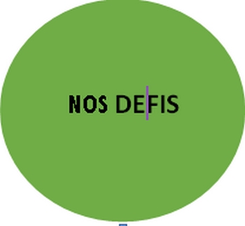 Le Mali et l’immense défis