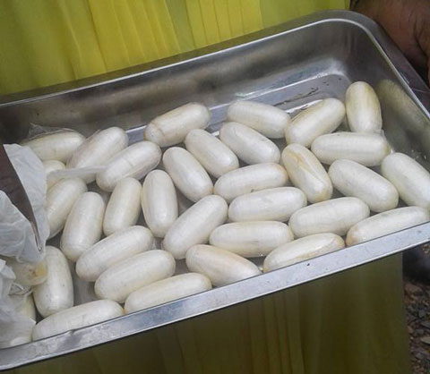 Lutte contre la drogue : L’OCS valide la mutualisation des services
