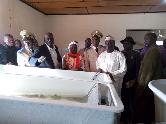 Développement de l’aquaculture : Dr Nango Dembélé remet 100 cages flottantes aux pêcheurs à  Sélingué