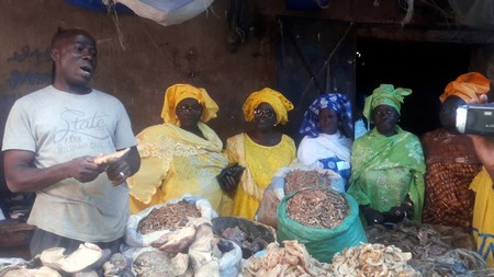 Réseau sur les politiques de  pêche en Afrique de l’ouest : Les mareyeuses de Thiaroye à la conquête du marché malien