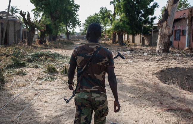 Nigeria: L'armée chasse Boko Haram d'un de ses derniers bastions