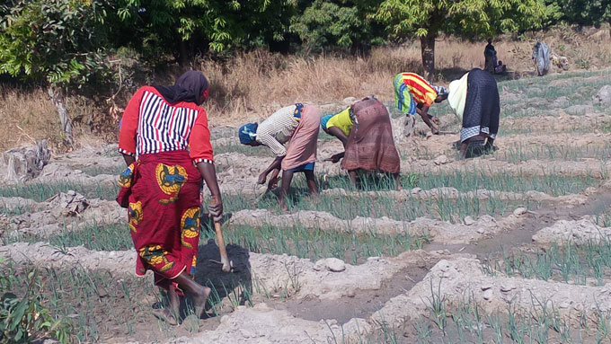 Après une mauvaise saison agricole, la famine s’installe à Baguinéda