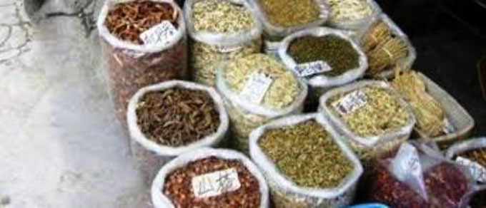 Recherche d'un remède contre le coronavirus :  Les thérapeutes traditionnels ignorés