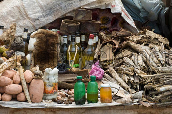 Médecine traditionnelle au Mali : Une pratique ancrée dans les mœurs