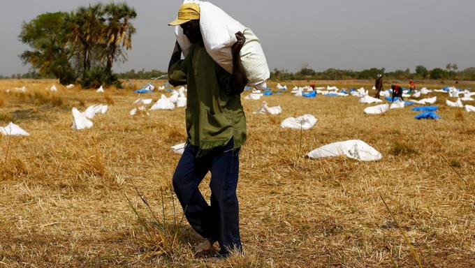 Famine au Yémen, Soudan du Sud, Nigeria et Somalie: l'appel à l'aide de l'ONU
