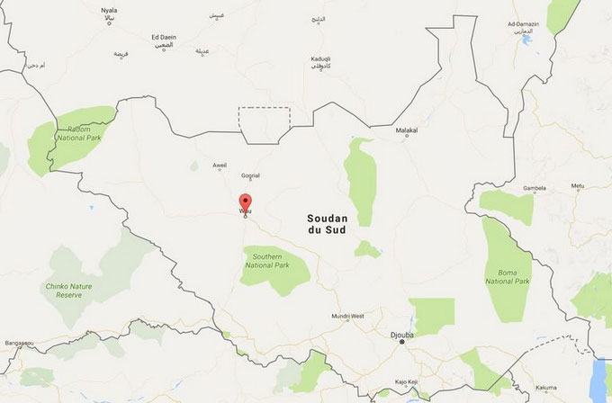 Un avion de ligne s'écrase au Soudan du Sud: au moins 14 blessés