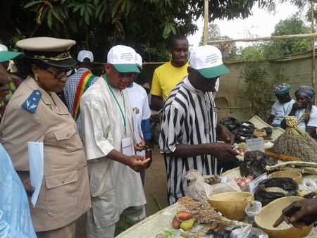 2ème  édition de la Foire des Semences Paysannes à Safo :  Les paysans sensibilisés sur le danger des engrais chimiques et autres pesticides