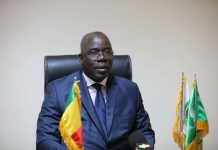 Le Ministre des Maliens de l'extérieur et de l'intégration africaine, Dr Abdramane SYLLA