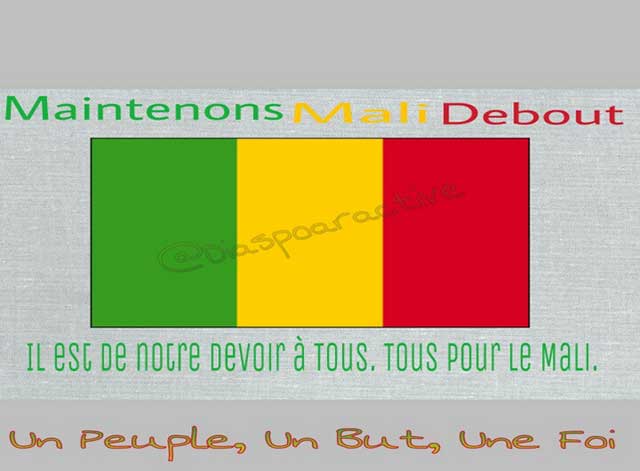 Révision constitutionnelle au Mali : Plateforme contre plateforme : la campagne 2018 officieusement ouverte