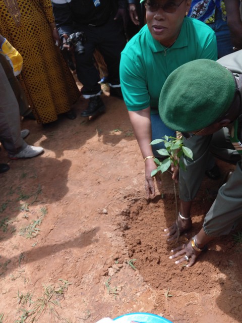 Lutte contre la déforestation au Mali : 1500  plants plantés dans la forêt classée des monts Mandingues
