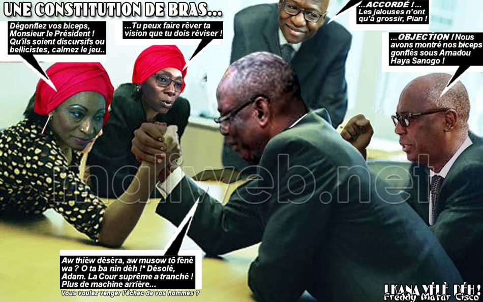 Une constitution de bras