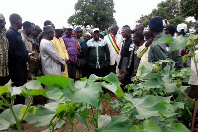 Campagne agricole en zone OHVN :  Dr Nango Dembélé explique la vision du président IBK aux producteurs