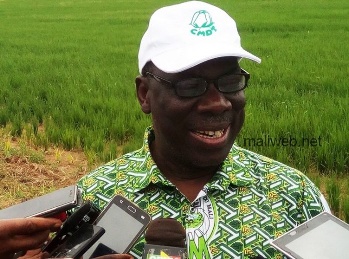 Office du Niger: Dr Nango Dembélé fait un premier point de la campagne rizicole avec les paysans
