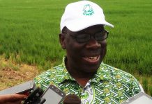 Office du Niger: Dr Nango Dembélé fait un premier point de la campagne rizicole avec les paysans