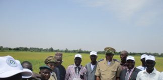 Suivi de la campagne agricole : Le Ministre Nango évalue la situation en zone Opib