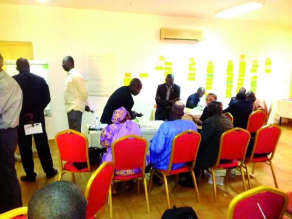 Approches innovantes pour un accroissement de l’irrigation : Wetlands International Mali convie les acteurs
