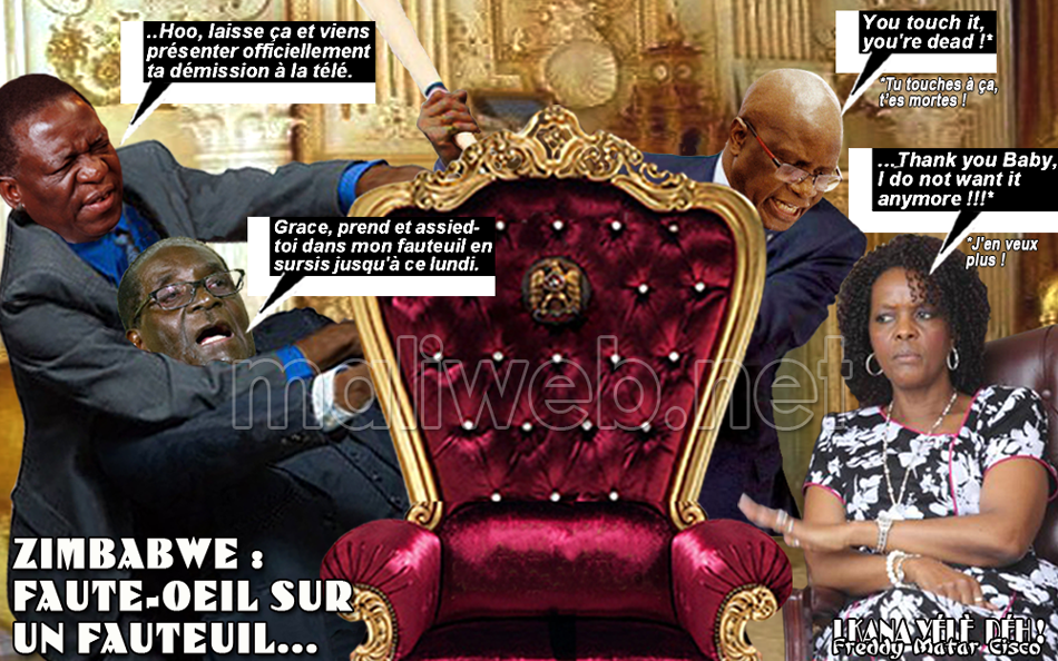 Zimbabwe: Faute-oeil sur un fauteuil