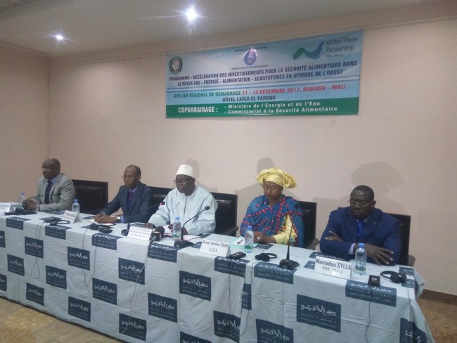 Investissements pour la sécurité alimentaire dans le  Nexus Eau-Énergie –Alimentation : Les experts de la sous-région en conclave à Bamako