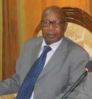 Devant les sénateurs français : Toumani Djimé Diallo fait honneur au Mali !