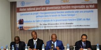 Concertation et action sur la gouvernance foncière au Mali : la Plateforme nationale multi-acteurs des Directives de gouvernance foncière du CSA de la FAO monte au créneau