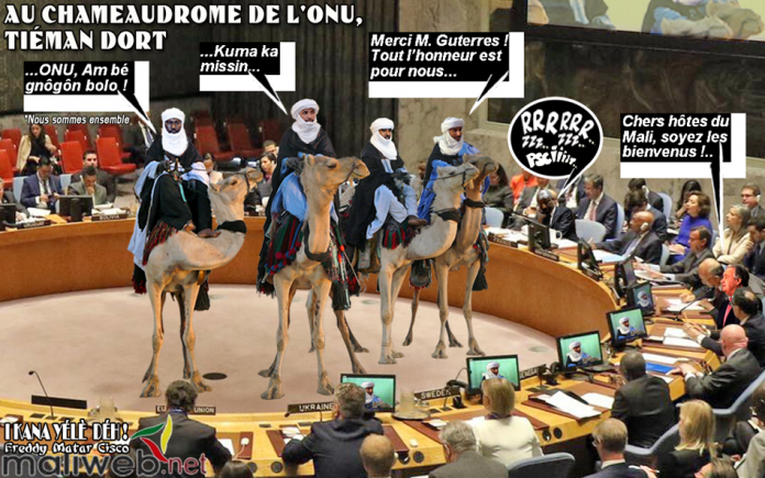 Au chameaudrome de l'ONU