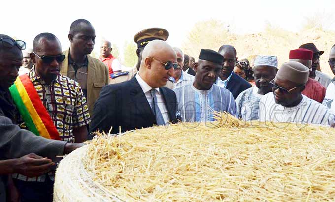 Développement industriel au Mali : Le ministre Mohamed Aly Ag Ibrahim visite la 1ère usine africaine de fabrique de contreplaqué à base de paille de riz