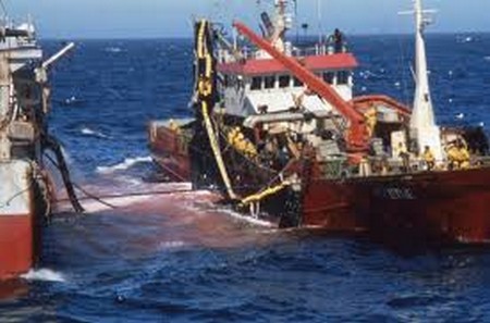 Maroc –UE : En attendant l’arrêt final sur l’accord de pêche