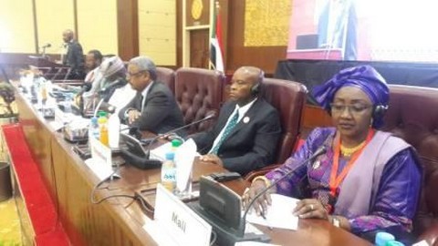 Développement durable de l’Agriculture et du système d’alimentation en Afrique : Mme Kane Rokia Maguiraga loue les efforts du Mali à Kartoum