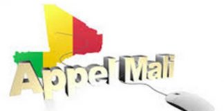 Communiqué d’appel-Mali : (Association des Professionnels de la Presse En Ligne au MALI)