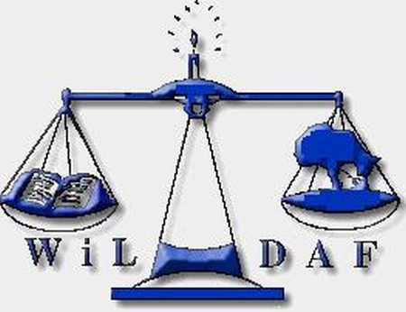 Kayes : WILDAF/Mali organise une formation sur la gestion administrative et financière des communes