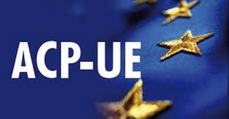 L’Assemblée parlementaire paritaire ACP-UE recommande la tenue des élections au délai constitutionnel