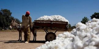 Politique agricole au Mali