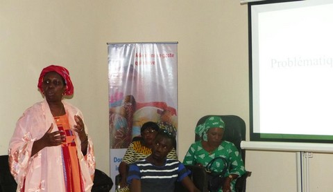Paludisme au Mali: 2,1 millions de cas en 2017 pour 1 050 décès