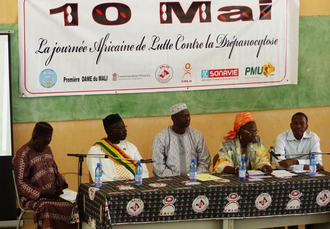 Drépanocytose: AMLUD déplore l’absence de la maladie sur la liste des maladies tropicales négligées