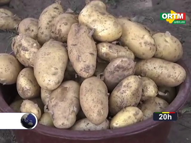 ORTM / Journal TV du 13 mai 2018