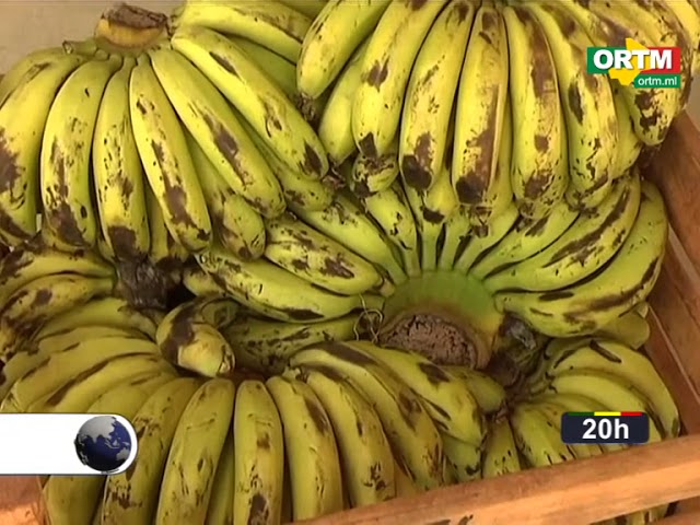 ORTM / Journal TV du 20 mai 2018