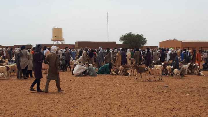 [Reportage] Mali : face à la sécheresse, les éleveurs quittent Ménaka pour le Niger