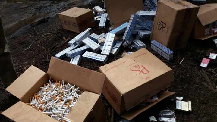 Lutte contre la contrebande de tabac : Plusieurs centaines de cartons détruits