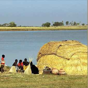 Pacte de non-agression entre peulhs et dogon :  La milice Dan Nan Ambassagou se désolidarise