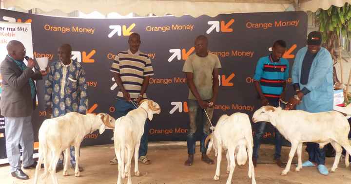 Tombola Seliba: Orange offre 04 moutons et plusieurs lots à ses clients