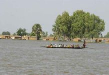 Le fleuve niger subit les affres des changements climatiques