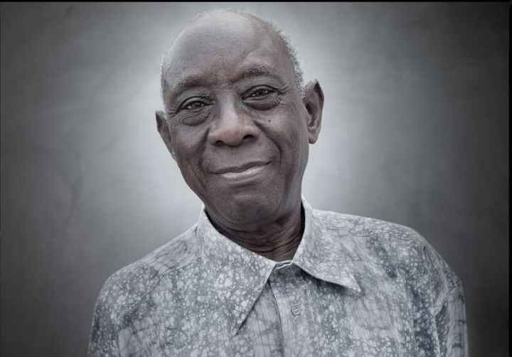 Cheikh Hamidou Kane : « L’Afrique n’existe plus, elle a été dépossédée de son espace »