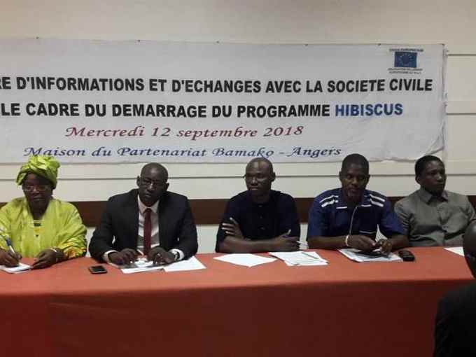 Consolidation du processus de développement et de la démocratie au Mali : Hibiscus pour ‘’métamorphoser’’ le visage de la société civile malienne