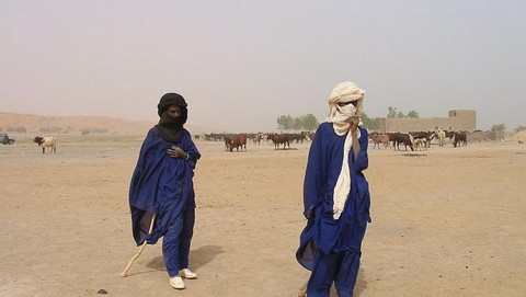 Koro : Retour progressif de la quiétude