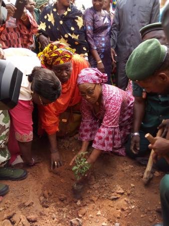 Campagne nationale de reboisement : Les femmes du Mali résolues à verdir les alentours du Stade du 26 Mars