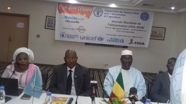 Sécurité alimentaire : Le Mali  en voie de l’élimination de  la faim