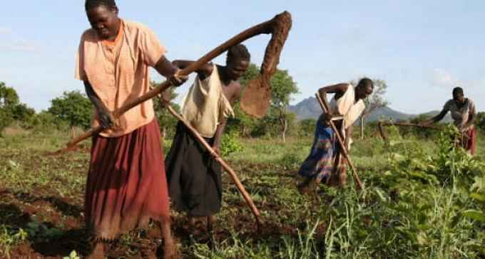 Renforcer la compétitivité de l’économie malienne en stimulant la production agricole, l’industrie et les services