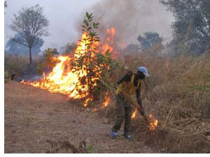 Feux de brousse :  Plus de 2 millions d’hectares ravagés en trois mois